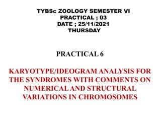 PRACTICAL 6
KARYOTYPE/IDEOGRAM ANALYSIS FOR
THE SYNDROMES WITH COMMENTS ON
NUMERICALAND STRUCTURAL
VARIATIONS IN CHROMOSOMES
TYBSc ZOOLOGY SEMESTER VI
PRACTICAL ; 03
DATE ; 25/11/2021
THURSDAY
 