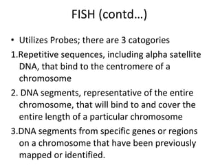FISH (contd…) Utilizes Probes; there are 3 catogories 1. Repetitive sequences, including alpha satellite DNA, that bind to the centromere of a chromosome 2.  DNA segments, representative of the entire chromosome, that will bind to and cover the entire length of a particular chromosome 3.DNA segments from specific genes or regions on a chromosome that have been previously mapped or identified. 