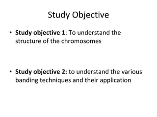 Study Objective Study objective 1 : To understand the structure of the chromosomes Study objective 2:  to understand the various banding techniques and their application 