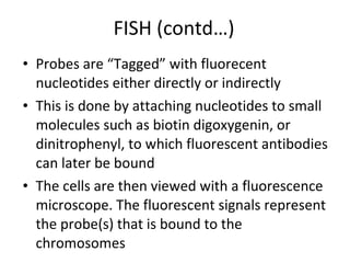 FISH (contd…) Probes are “Tagged” with fluorecent nucleotides either directly or indirectly This is done by attaching nucleotides to small molecules such as biotin  digoxygenin, or dinitrophenyl, to which fluorescent antibodies can later be bound The cells are then viewed with a fluorescence microscope. The fluorescent signals represent the probe(s) that is bound to the chromosomes 