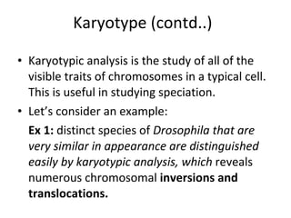 Karyotype (contd..)  Karyotypic analysis is the study of all of the visible traits of chromosomes in a typical cell. This is useful in studying speciation.  Let’s consider an example: Ex 1:  distinct species of  Drosophila that are very similar in appearance are distinguished easily by karyotypic analysis, which  reveals numerous chromosomal  inversions and translocations. 