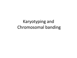 Karyotyping and  Chromosomal banding 