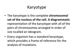 Karyotype <ul><li>The karyotype is the complete  chromosomal set of the nucleus of the cell. A diagrammatic  representatio...