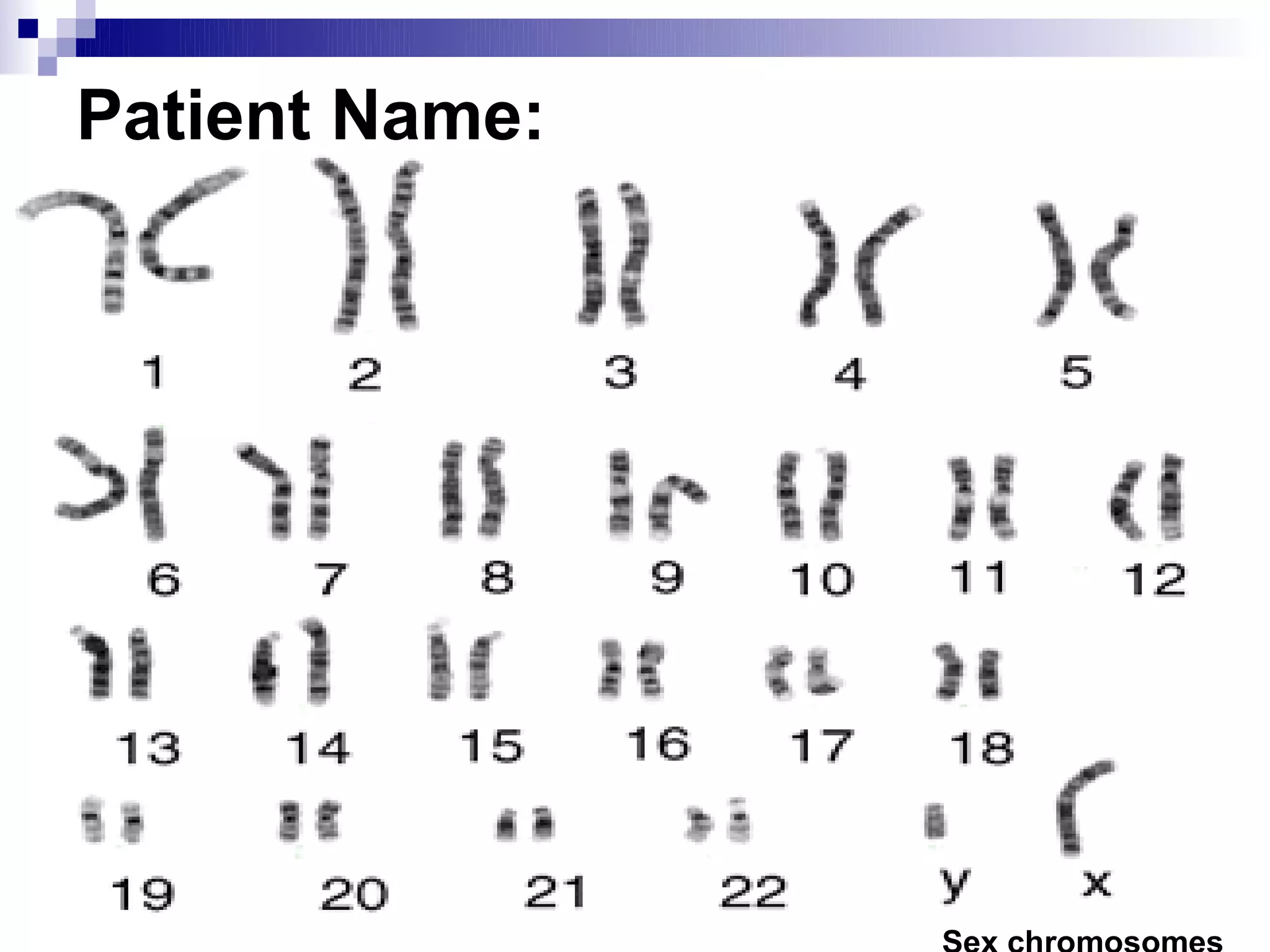 Karyotyping | PPT