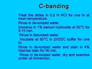 C-bandingC-banding
 Treat the slides in 0.2 N HCI for one hr atTreat the slides in 0.2 N HCI for one hr at
room temperature.room temperature.
 Rinse in de-ionized water.Rinse in de-ionized water.
 Immerse in 1% barium hydroxide at 50°C forImmerse in 1% barium hydroxide at 50°C for
5-15 min.5-15 min.
 Rinse in deionized water.Rinse in deionized water.
 Incubate at 60°C in 2XSSC buffer for oneIncubate at 60°C in 2XSSC buffer for one
hr.hr.
 Rinse in de-ionized water and stain in 4%Rinse in de-ionized water and stain in 4%
Giemsa stain for 90 min.Giemsa stain for 90 min.
 Rinse in de-ionized water, dry and examineRinse in de-ionized water, dry and examine
under oil immersion.under oil immersion.
 