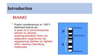 Introduction
 