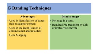 G Banding Techniques
Advantages
• Used in identification of bands
rich in Sulphur content.
• Used in the identification of
chromosomal abnormalities
• Gene Mapping.
Disadvantages
• Not used in plants.
• Required Pre-treatment by Salt
or proteolytic enzyme
 