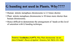 G banding not used in Plants. Why????
• Human mitotic metaphase chromosome is 2.3 times shorter.
• Plant mitotic metaphase chromosome is 10 times more shorter than
human chromosome.
• Hence difficult to demonstrate the arrangement of bands at this level
of saturation with G banding technique.
Source: Greilhuber, J (1977). Why Plant chromosome do not
show G bands? .Theory of Applied Genetics, Vol 50(3): 121- 124.
 