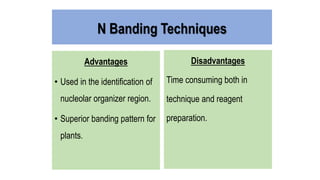 N Banding Techniques
Advantages
• Used in the identification of
nucleolar organizer region.
• Superior banding pattern for
plants.
Disadvantages
Time consuming both in
technique and reagent
preparation.
 