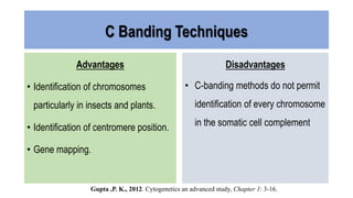 C Banding Techniques
Advantages
• Identification of chromosomes
particularly in insects and plants.
• Identification of centromere position.
• Gene mapping.
Disadvantages
• C-banding methods do not permit
identification of every chromosome
in the somatic cell complement
Gupta ,P. K., 2012. Cytogenetics an advanced study, Chapter 1: 3-16.
 