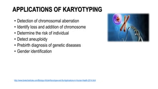 APPLICATIONS OF KARYOTYPING
• Detection of chromosomal aberration
• Identify loss and addition of chromosome
• Determine the risk of individual
• Detect aneuploidy
• Prebirth diagnosis of genetic diseases
• Gender identification
http://www.biotecharticles.com/Biology-Article/Karyotype-and-Its-Applications-in-Human-Health-2014.html
 