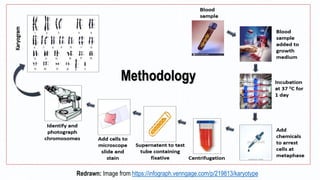 Methodology
Redrawn: Image from https://infograph.venngage.com/p/219813/karyotype
 