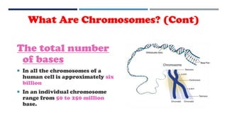 The total number
of bases
 In all the chromosomes of a
human cell is approximately six
billion
 In an individual chromosome
range from 50 to 250 million
base.
What Are Chromosomes? (Cont)
 