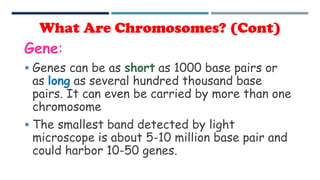 Gene:
 Genes can be as short as 1000 base pairs or
as long as several hundred thousand base
pairs. It can even be carried by more than one
chromosome
 The smallest band detected by light
microscope is about 5-10 million base pair and
could harbor 10-50 genes.
What Are Chromosomes? (Cont)
 