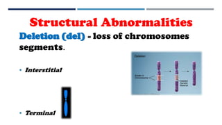 Deletion (del) = loss of chromosomes
segments.
 Interstitial
 Terminal
Structural Abnormalities
 