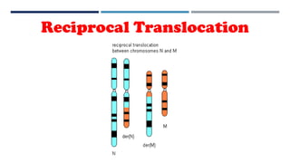 Reciprocal Translocation
 