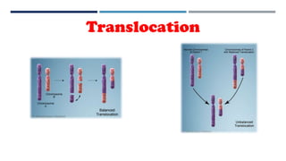 Translocation
 