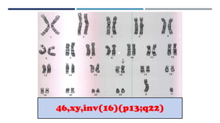 46,xy,inv(16)(p13;q22)
 