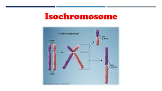 Isochromosome
 