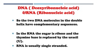 DNA ( Deoxyribonucleic acid)
&RNA (Ribonucleic acid)
 So the two DNA molecules in the double
helix have complementary sequences.
 In the RNA the sugar is ribose and the
thymine base is replaced by the uracil
(U).
 RNA is usually single stranded.
 