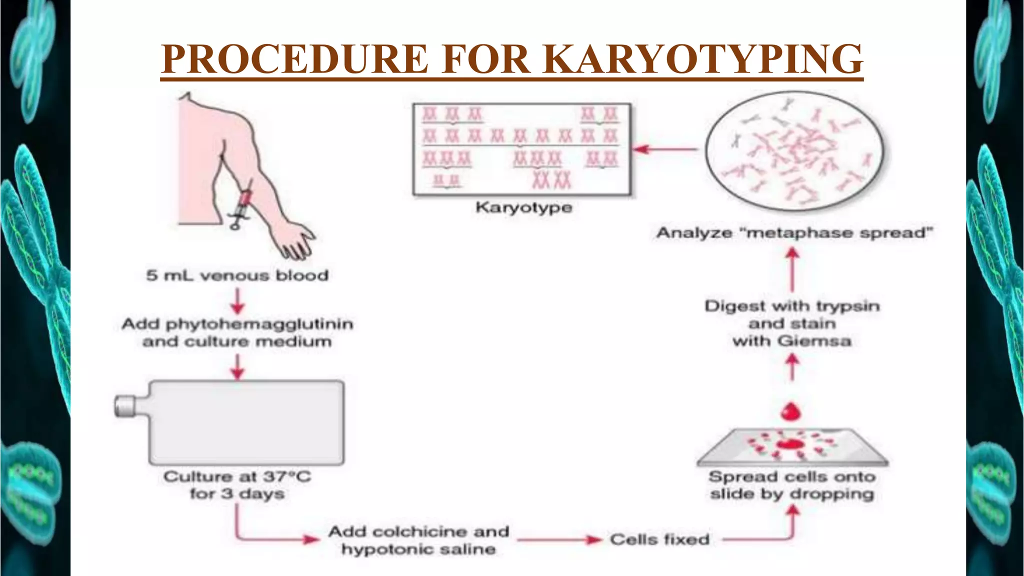 Karyotyping PPTX Karyotyping PPTX