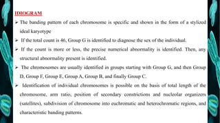 Karyotyping | PPTX