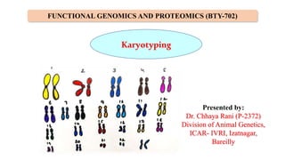 FUNCTIONAL GENOMICS AND PROTEOMICS (BTY-702)
Presented by:
Dr. Chhaya Rani (P-2372)
Division of Animal Genetics,
ICAR- IVRI, Izatnagar,
Bareilly
Karyotyping
 