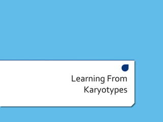 Learning From
Karyotypes
 