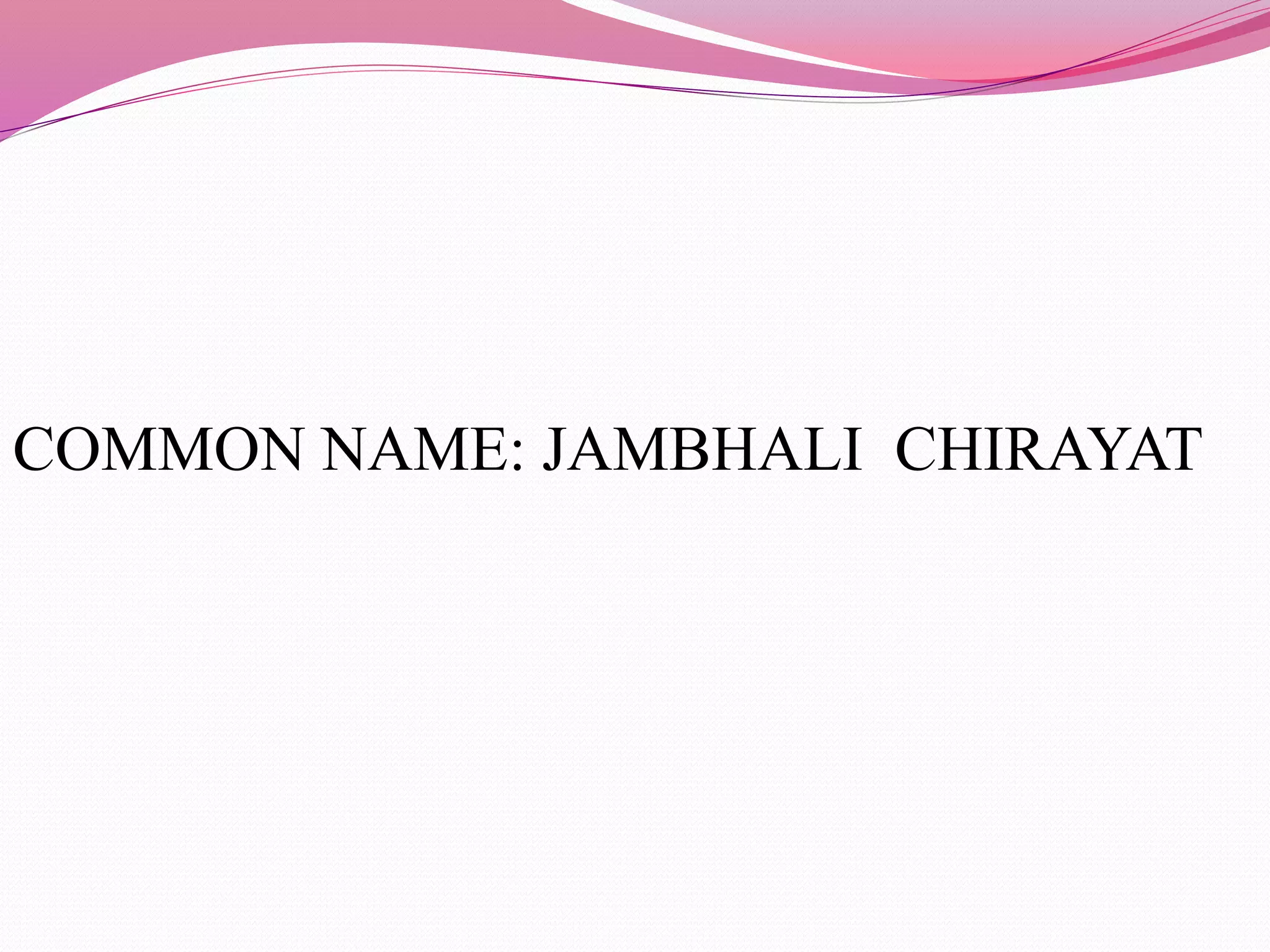 COMMON NAME: JAMBHALI CHIRAYAT 
 