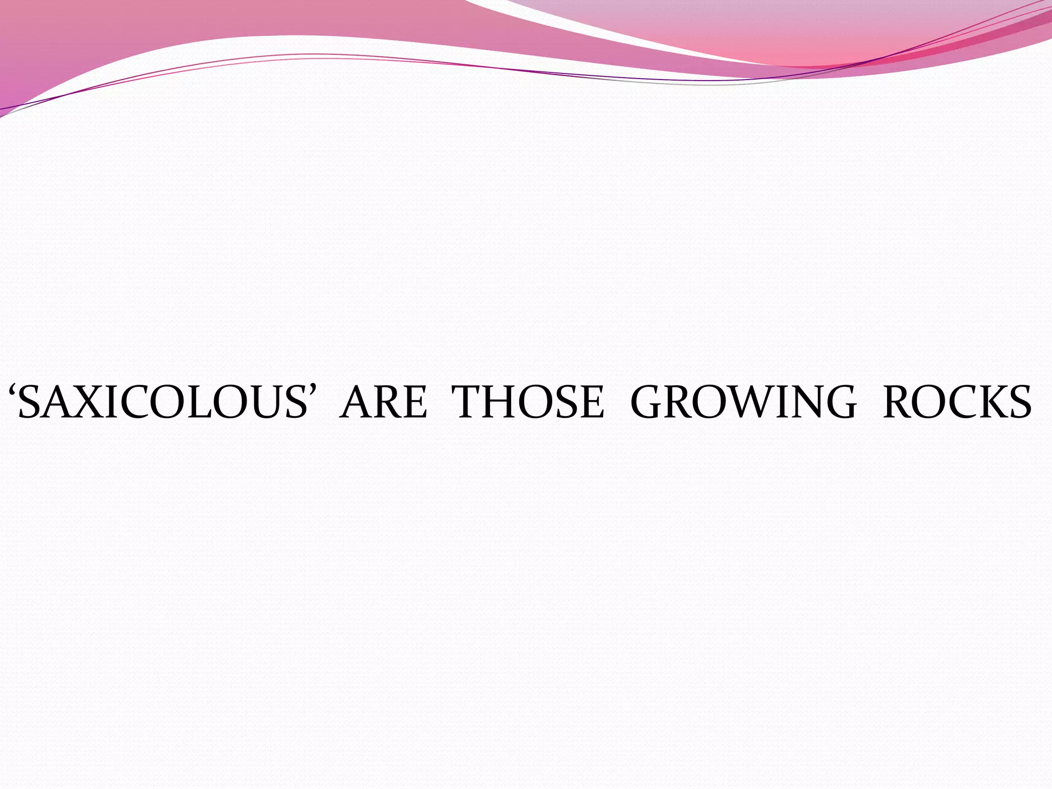 ‘SAXICOLOUS’ ARE THOSE GROWING ROCKS 
 