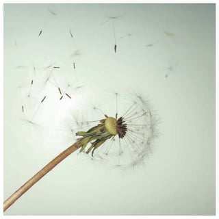 For Booking & Details Please Call : 9999 18 4433
 