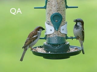 QA 
 