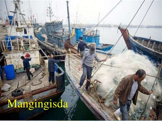 Kasalukuyang Kalagayan ng Marinong Manggagawang Pilipino sa Ibayong D…