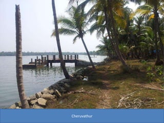 Cheruvathur
 