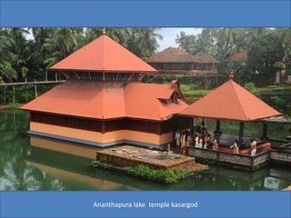 Ananthapura lake temple kasargod
 