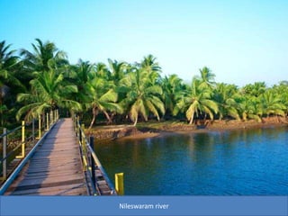 Nileswaram river
 