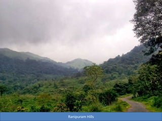 Ranipuram Hills
 