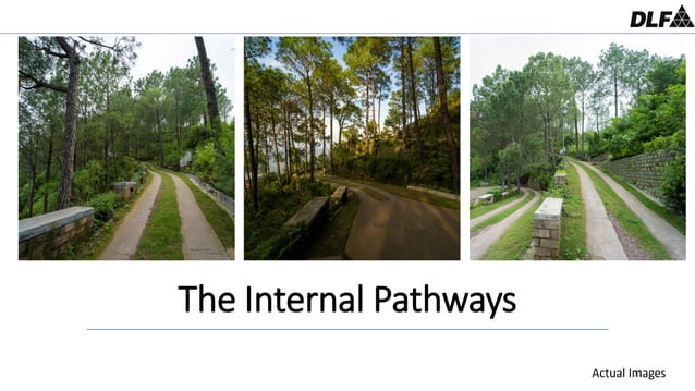Buy DLF Samavana Luxury Plots Villas Located In Kasauli Himachal Pradesh Get Project Overview 