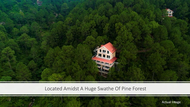 Buy DLF Samavana Luxury Plots Villas Located In Kasauli Himachal Pradesh Get Project Overview 