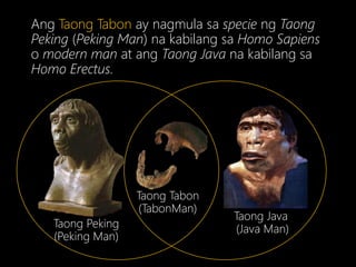 Taong Java