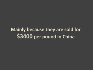 Mainly because they are sold for
  $3400 per pound in China
 