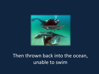 Then thrown back into the ocean,
         unable to swim
 