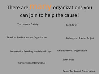 There are           many
                    organizations you
     can join to help the cause!
         The Humane Society                         Earth First!



American Zoo & Aquarium Organization                Endangered Species Project




  Conservation Breeding Specialists Group   American Forest Organization


                                                 Earth Trust
          Conservation International


                                                 Center For Animal Conservation
 