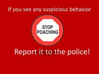 If you see any suspicious behavior




  Report it to the police!
 
