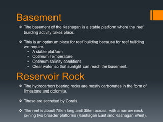 Basement
 The basement of the Kashagan is a stable platform where the reef
  building activity takes place.

 This is an optimum place for reef building because for reef building
  we require-
   • A stable platform
   • Optimum Temperature
   • Optimum salinity conditions
   • Clear water so that sunlight can reach the basement.

Reservoir Rock
 The hydrocarbon bearing rocks are mostly carbonates in the form of
  limestone and dolomite.

 These are secreted by Corals.

 The reef is about 75km long and 35km across, with a narrow neck
  joining two broader platforms (Kashagan East and Kashagan West).
 