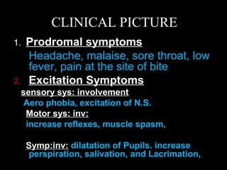 CLINICAL PICTURE 
1. Prodromal symptoms 
Headache, malaise, sore throat, low 
fever, pain at the site of bite 
2. Excitation Symptoms 
sensory sys: involvement 
Aero phobia, excitation of N.S. 
Motor sys: inv: 
increase reflexes, muscle spasm, 
Symp:inv: dilatation of Pupils. increase 
perspiration, salivation, and Lacrimation, 
 