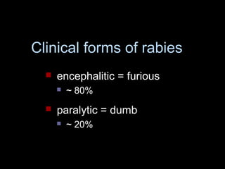 Clinical forms of rabies 
 encephalitic = furious 
 ~ 80% 
 paralytic = dumb 
 ~ 20% 
 