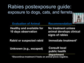 Rabies postexposure guide: 
exposure to dogs, cats, and ferrets 
Evaluation of Animal Recommendation 
Healthy and available for 
10 days observation 
No treatment unless 
animal develops clinical 
signs of rabies 
Rabid or suspected rabid Immediate treatment* 
Unknown (e.g., escaped) Consult local 
public health 
department 
*Discontinue treatment if tests on animal prove negative. 
 