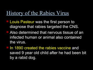 History of the Rabies Virus 
 Louis Pasteur was the first person to 
diagnose that rabies targeted the CNS. 
 Also determined that nervous tissue of an 
infected human or animal also contained 
the virus. 
 In 1890 created the rabies vaccine and 
saved 9 year old child after he had been bit 
by a rabid dog. 
 