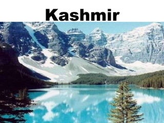 Kashmir

 